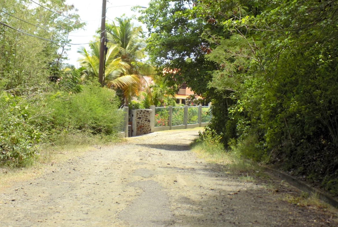 June Street Cap Estate Land For Sale